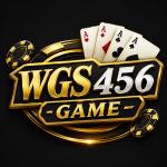 WGS456 Game
