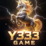 Y333 Game